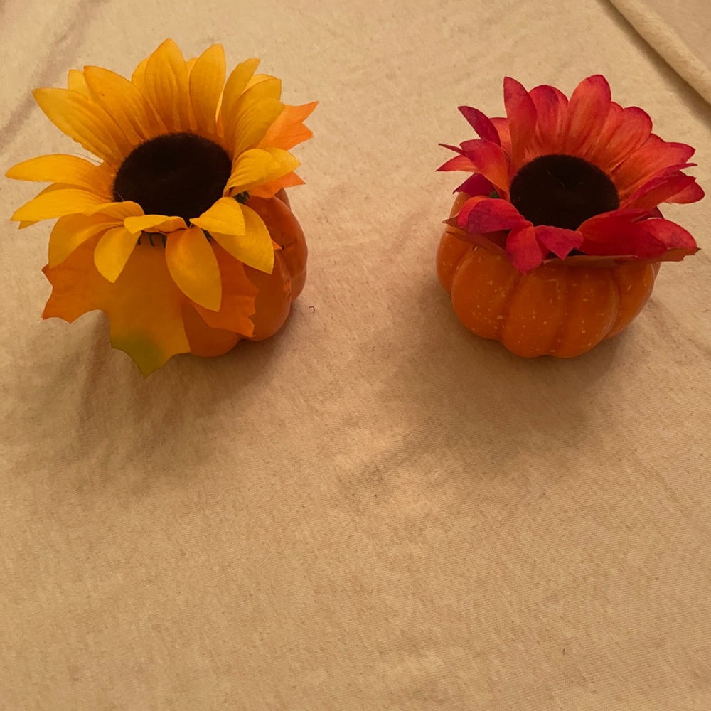 Mini sunflower pumpkins set of 2